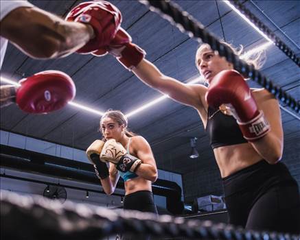 Boxing Classes Melbourne.jpg by TributeBoxing
