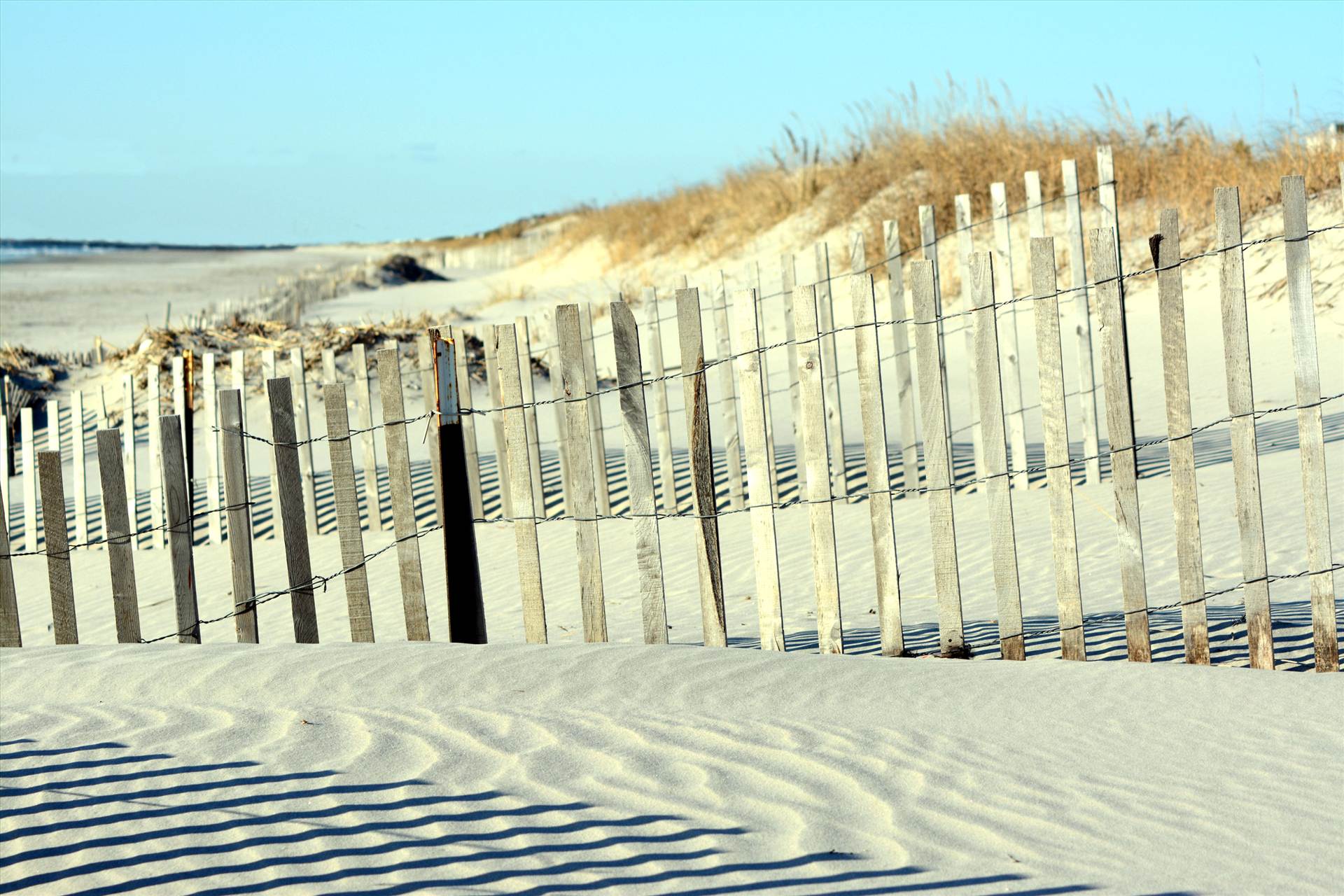 dune fence.jpg undefined by WPC-372