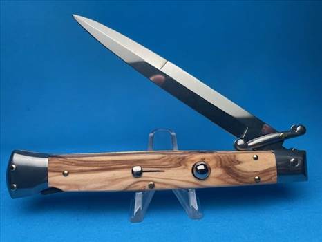 frank beltrame swinguard by Myswitchblade