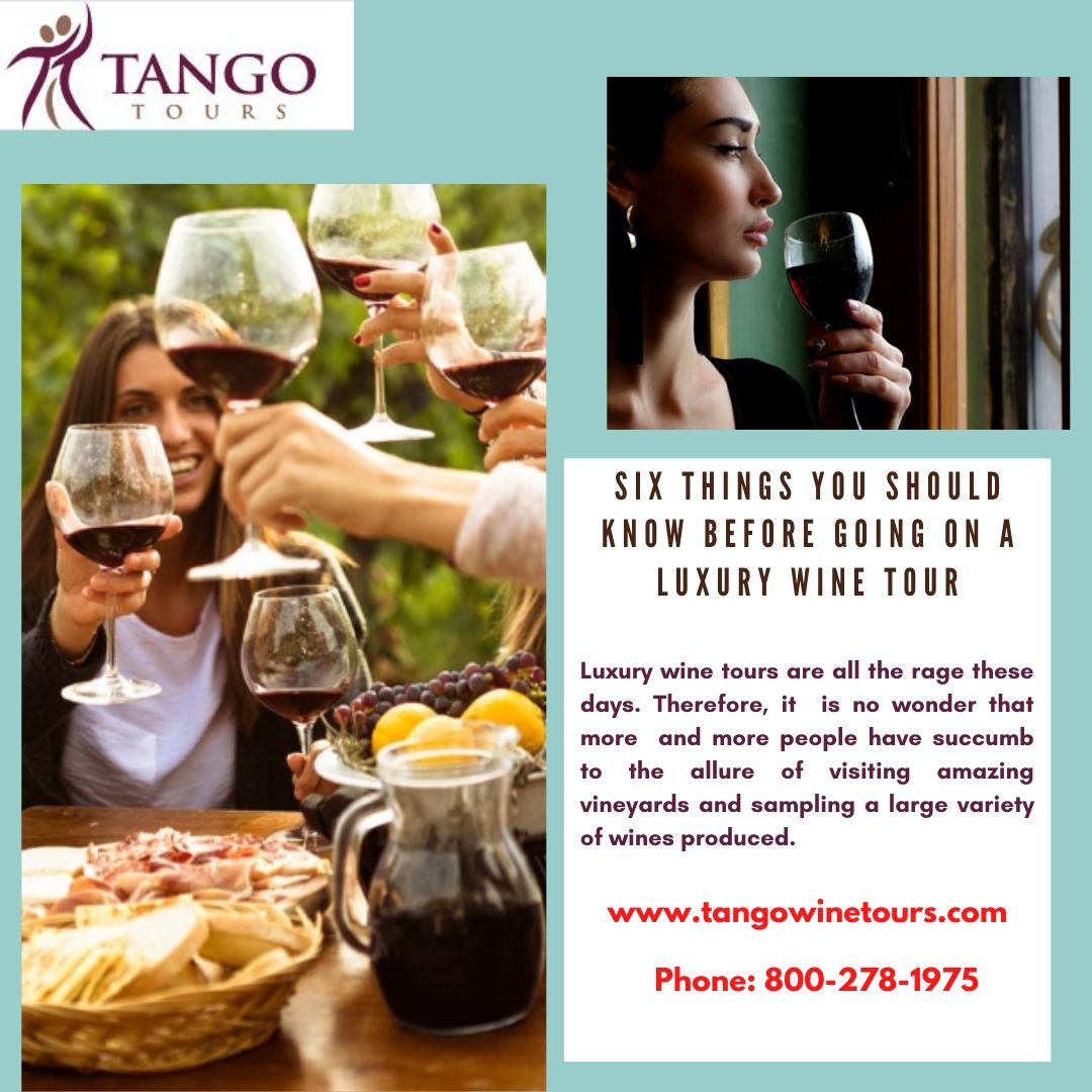 Six Things You Should Know Before Going On A Luxury Wine Tour If you are keen to increase your winery knowledge, then luxury wine tours of Argentina, Chile, Napa and Sonoma valley in Northern California can be your choice. This can be the perfect luxury holiday for you. For more details, visit: https://bit.ly/3hLURZ by Tangowinetours