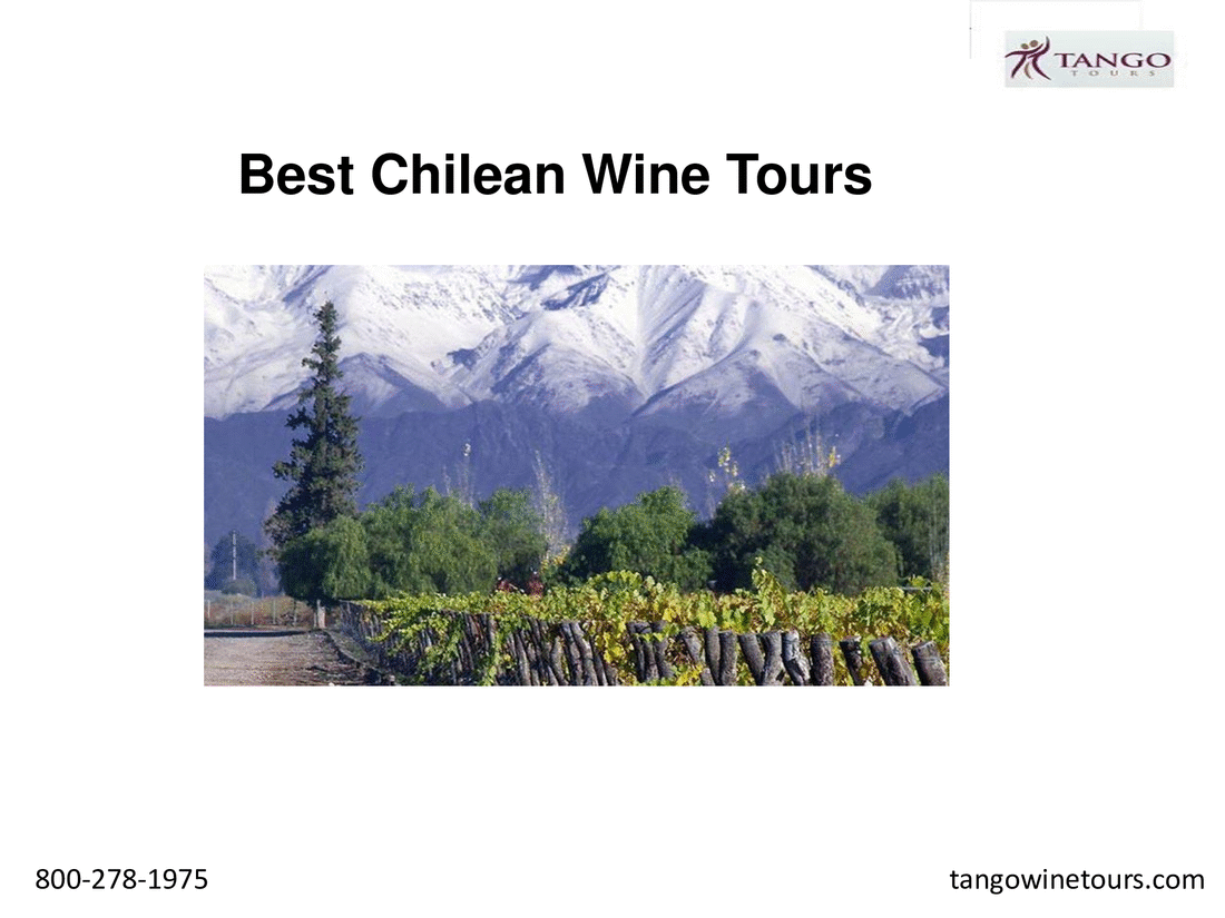 Best Chilean Wine Tours Chilean wine tours with Tang Tours will give you an opportunity to taste some of the worlds’ best wines ever.  For more details, visit: https://www.tangowinetours.com/chile-wine-tours/ by Tangowinetours