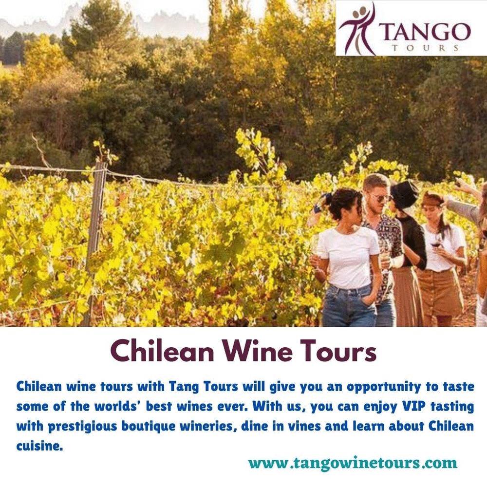 Chilean Wine Tours Chilean wine tours with Tang Tours will give you an opportunity to taste some of the worlds’ best wines ever. For more details, visit: https://www.tangowinetours.com/chile-wine-tours/ by Tangowinetours