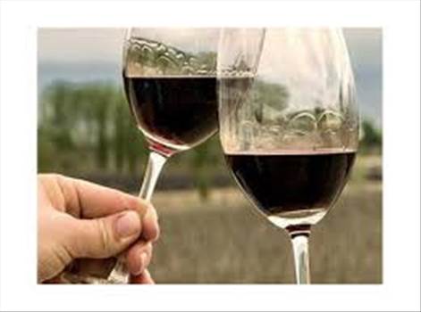 Sunset and wine are better when shared. If you are a nature and wine lover, then luxury wine tours in Argentina would fascinate you. With Tango Tours, a leader in the luxury wine tourism industry, having years of experience working with leading winemakers