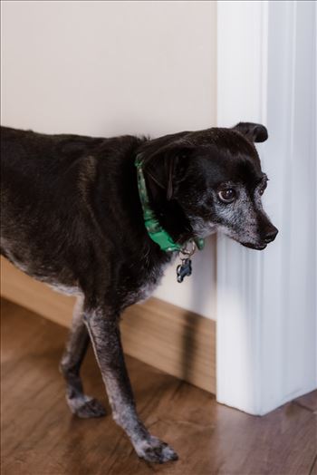 BridePrep-5976.jpg by David and Gina