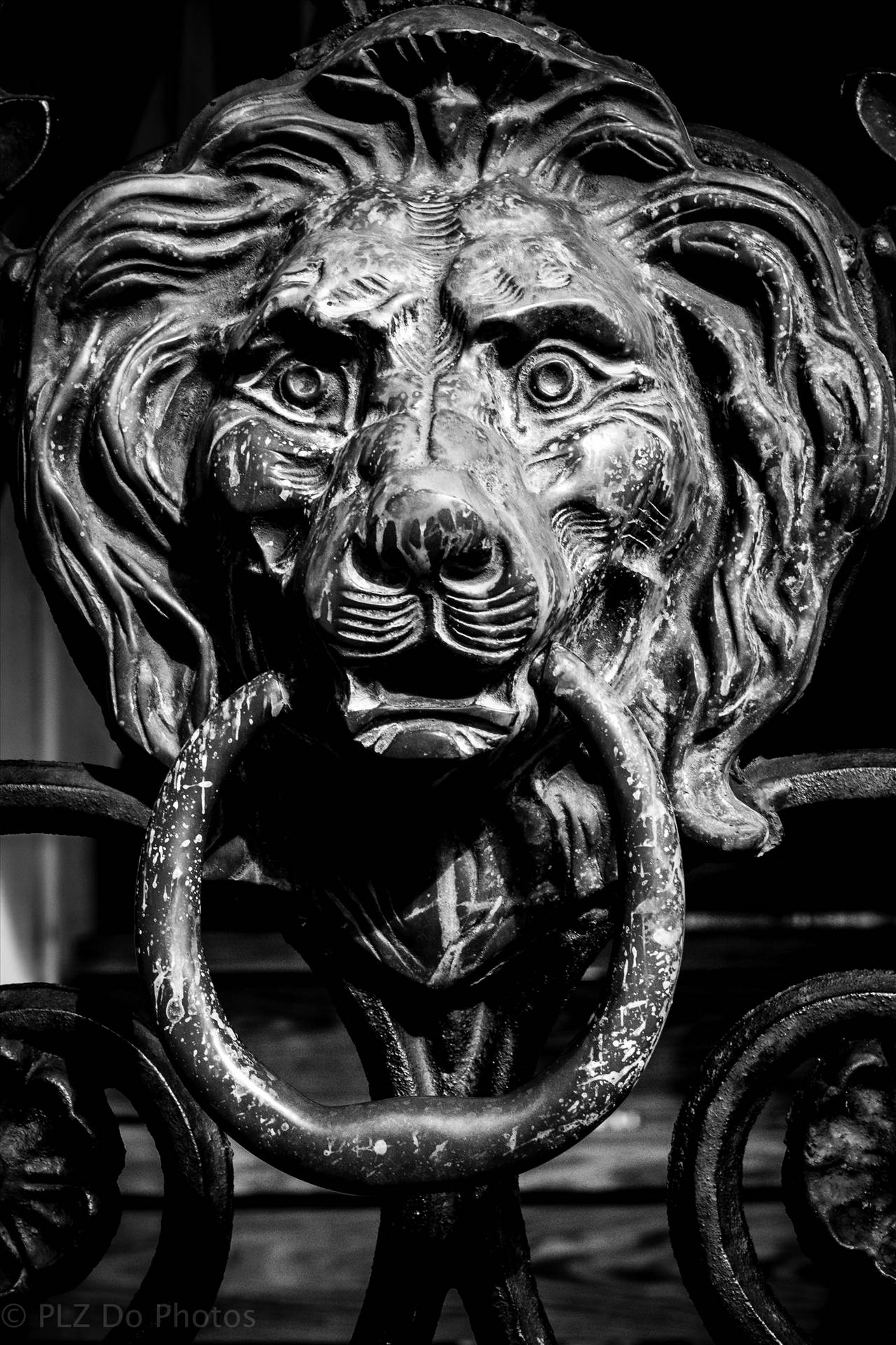 knock knock lion bnw.jpg undefined by 853012158068080