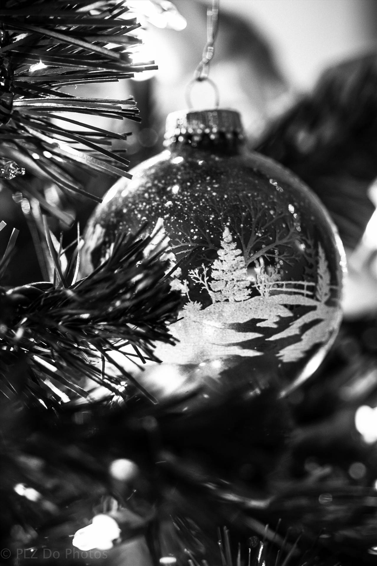 Christmas Memory - BW-4478.jpg undefined by 853012158068080
