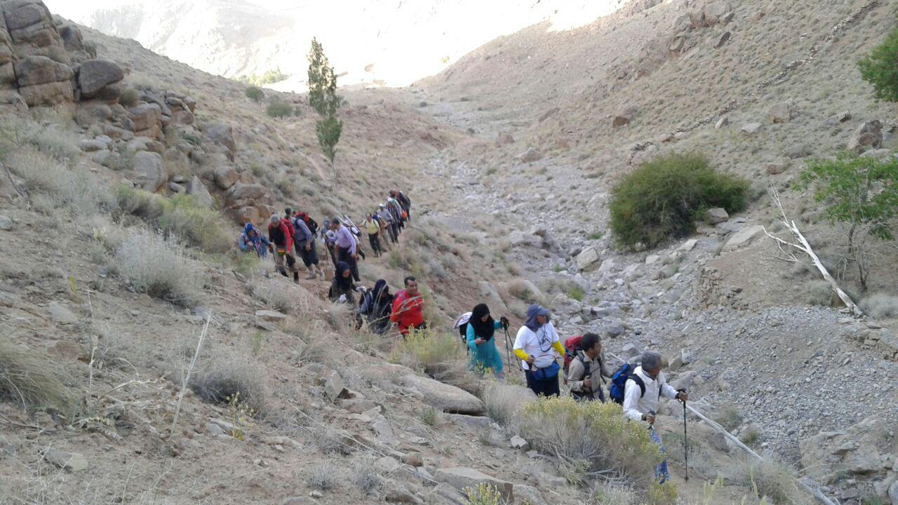 شیر کوه 4.jpg  by hamnavard