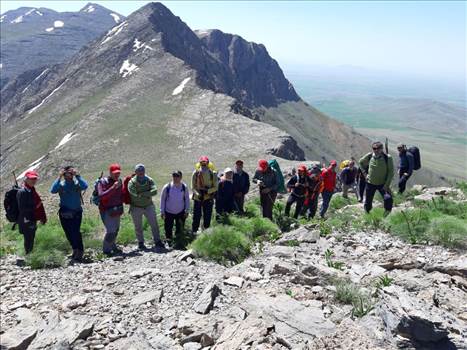 photo_2019-06-01_12-02-35.jpg - 