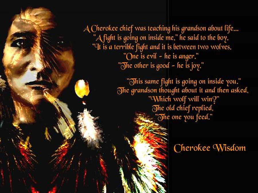 cherokee-wisdom-saleires-art.jpg  by Mediumystics