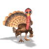 turkey.gif  by Mediumystics
