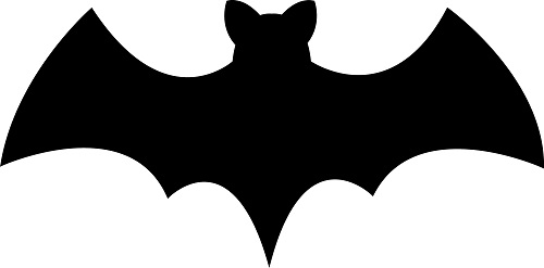 bat.jpg  by Mediumystics