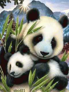 panda love.gif  by Mediumystics