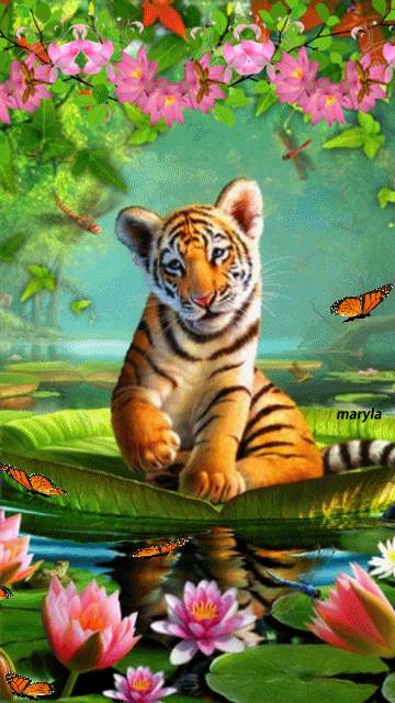 cute-tiger-animated (3).gif  by Mediumystics