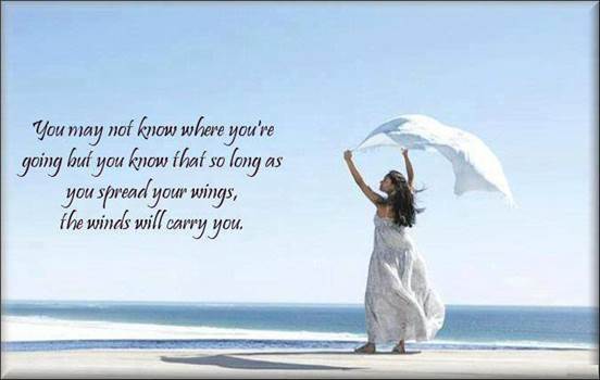 spread your wings.jpg - 