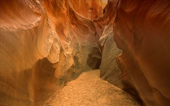 _58A7125 copy copy.jpg - 