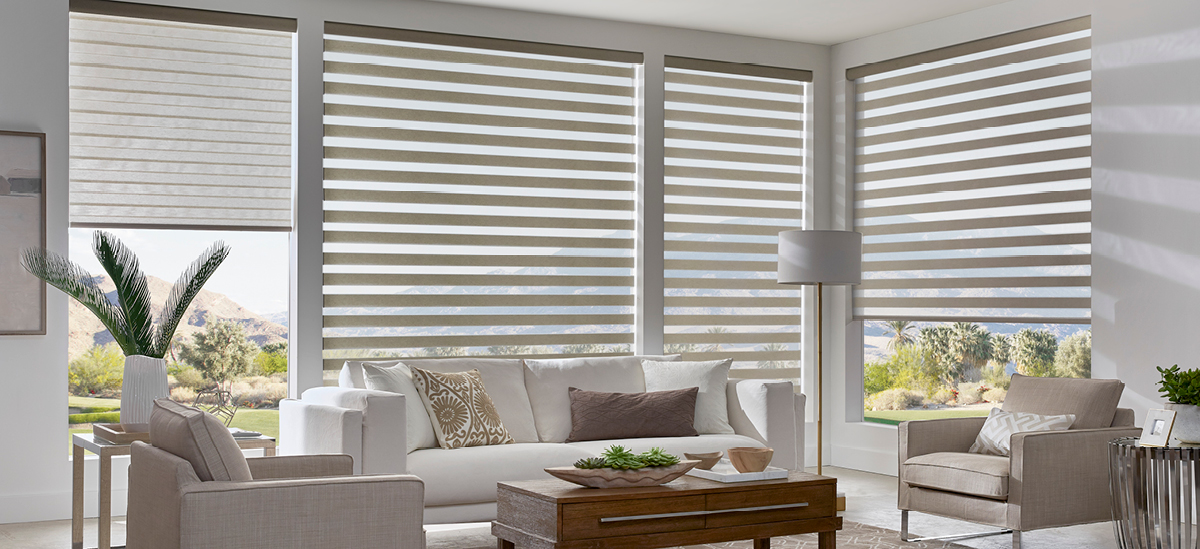 Dual Roller Shades in Edmonton Canada.jpg  by betterblinds