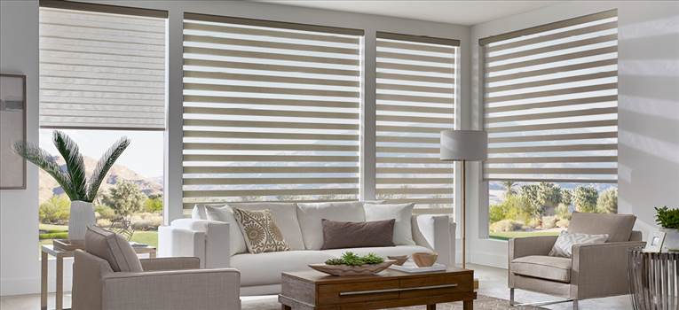 Dual Roller Shades in Edmonton Canada.jpg by betterblinds