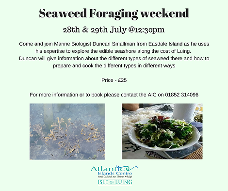 Seaweed Foraging weekend FB.png  by Allan