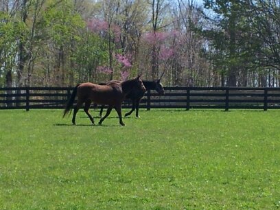 1430336496003.jpg  by Don and Marianna