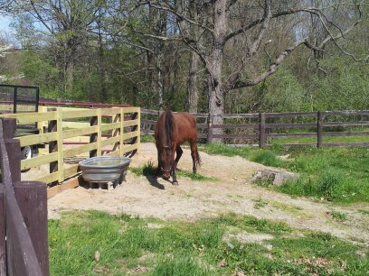 1430337796991.jpg  by Don and Marianna