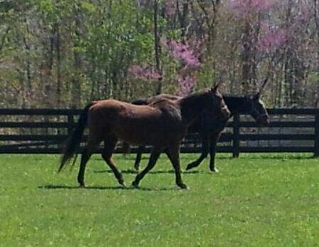 1430341911555.jpg  by Don and Marianna