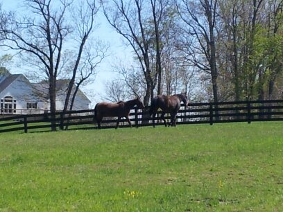 1430336484466.jpg  by Don and Marianna