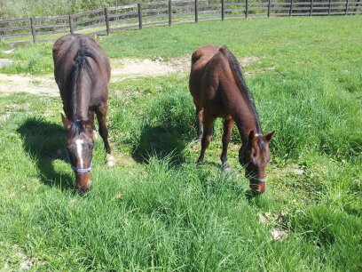 1430337925921.jpg  by Don and Marianna