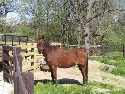 1430337822725.jpg  by Don and Marianna