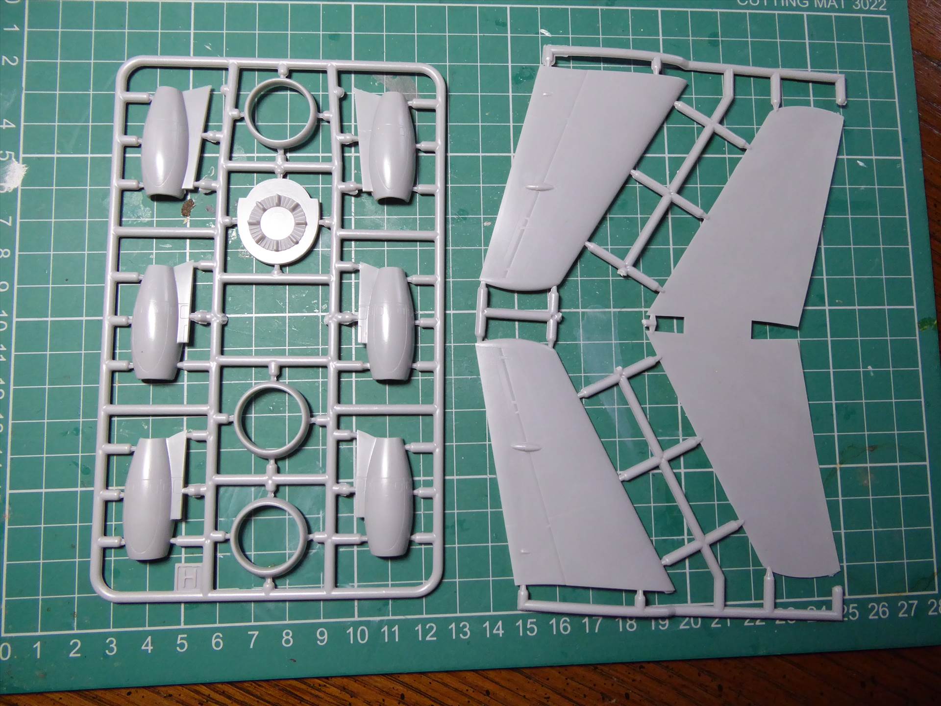 P1000252.JPG  by halcyondave