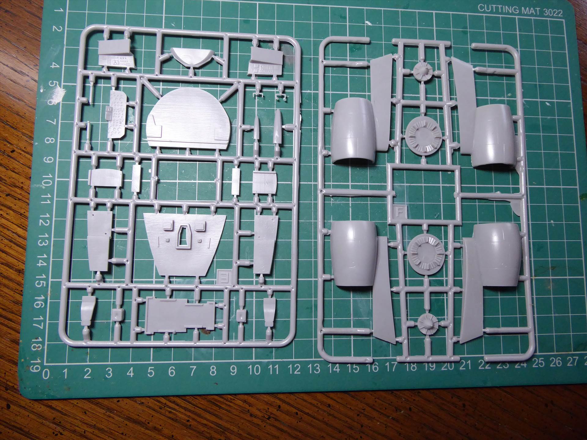 P1000250.JPG  by halcyondave