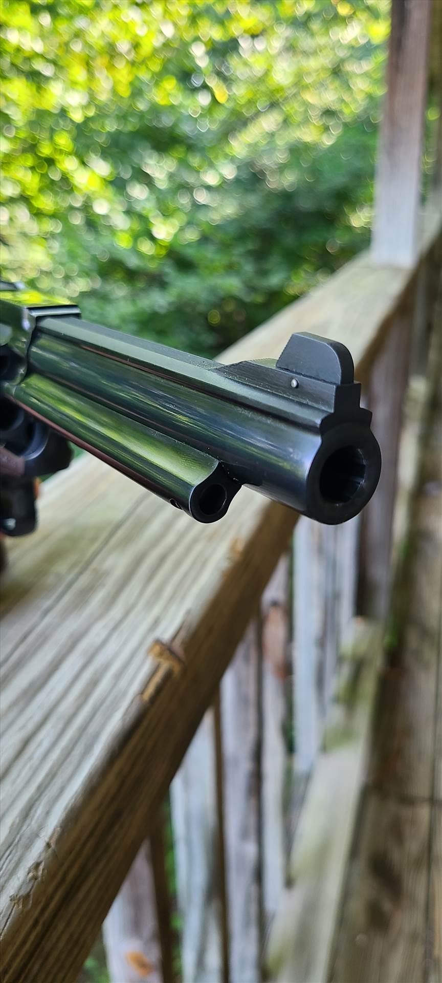 20220605_180602.jpg  by Okie45