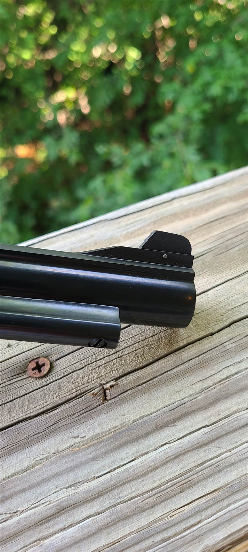 20220605_180447.jpg  by Okie45