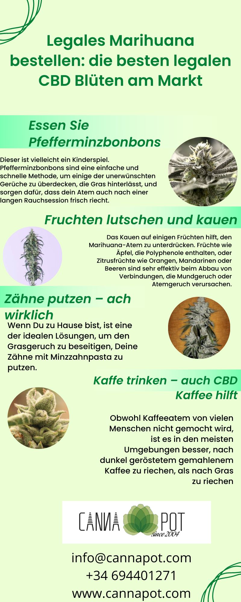 Legales Marihuana bestellen die besten legalen CBD Blüten am Markt.jpg  by Cannapot