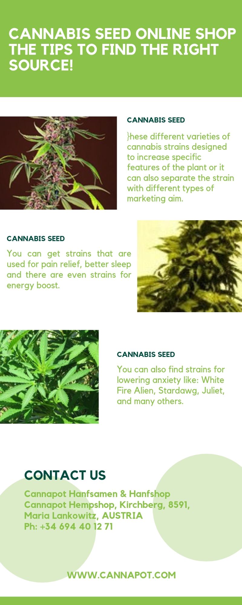 CANNABIS SEED ONLINE SHOP.jpg  by Cannapot
