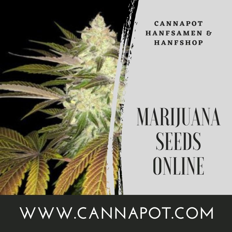 Marijuana Seeds Online (6).jpg  by Cannapot