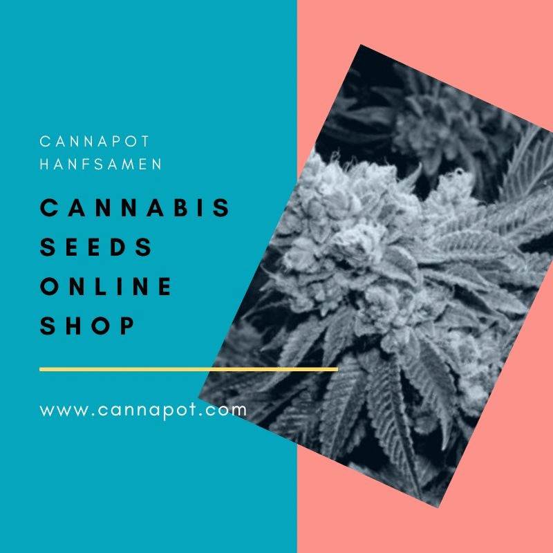 Cannabis Seeds Online Shop.gif  by Cannapot