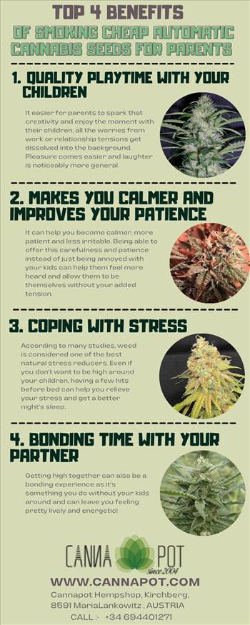 Top 4 benefits of smoking cheap automatic cannabis seeds for parents.png by Cannapot