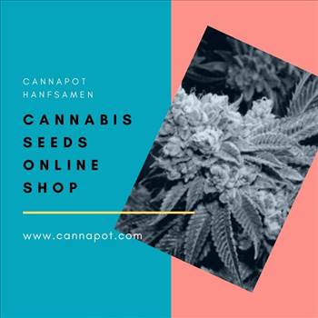 Cannabis Seeds Online Shop.gif by Cannapot