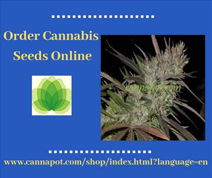 Order Cannabis Seeds Online.jpg by Cannapot