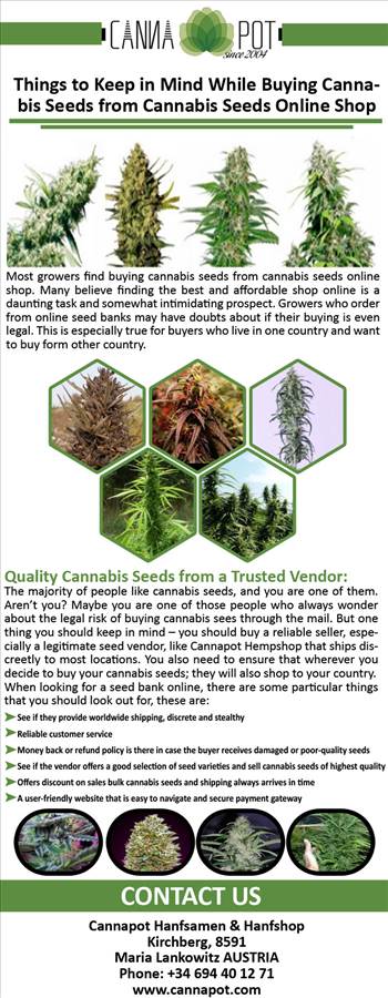 Things to Keep in Mind While Buying Cannabis Seeds from Cannabis Seeds Online Shop.jpg by Cannapot