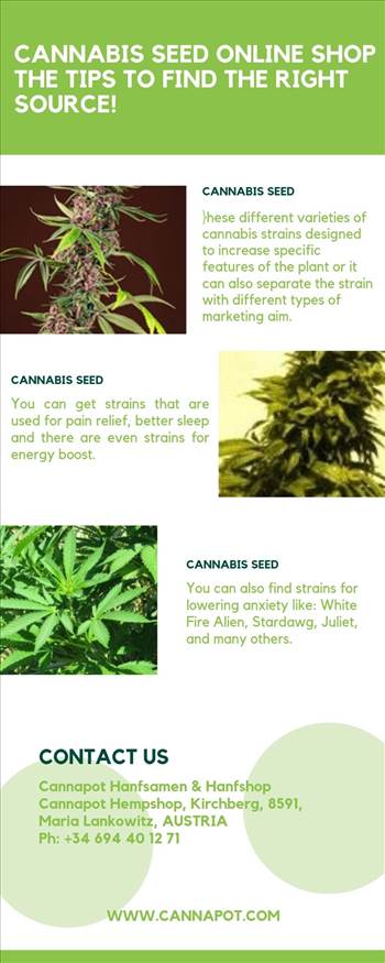 CANNABIS SEED ONLINE SHOP.jpg by Cannapot