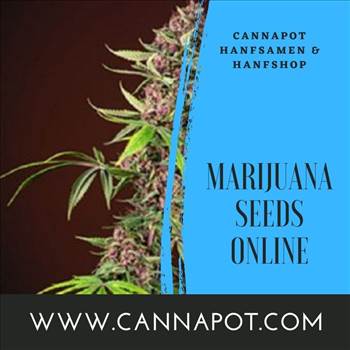 Marijuana Seeds Online - www.cannapot.com.jpg by Cannapot