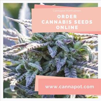 Order Cannabis Seeds Online (4).jpg by Cannapot