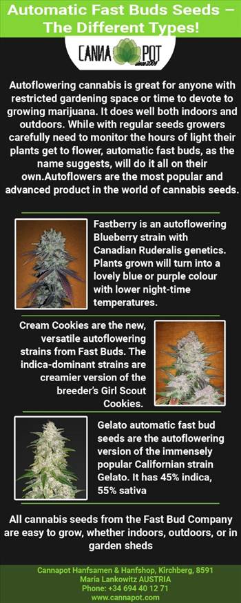 Automatic Fast Buds Seeds– The Different Types!.jpg by Cannapot