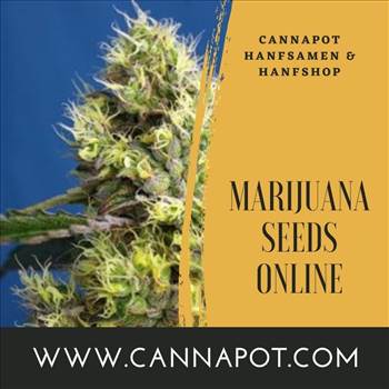 Marijuana Seeds Online (1).jpg by Cannapot