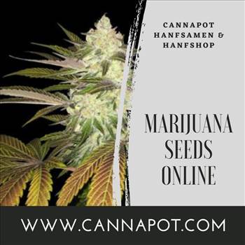 Marijuana Seeds Online (6).jpg by Cannapot