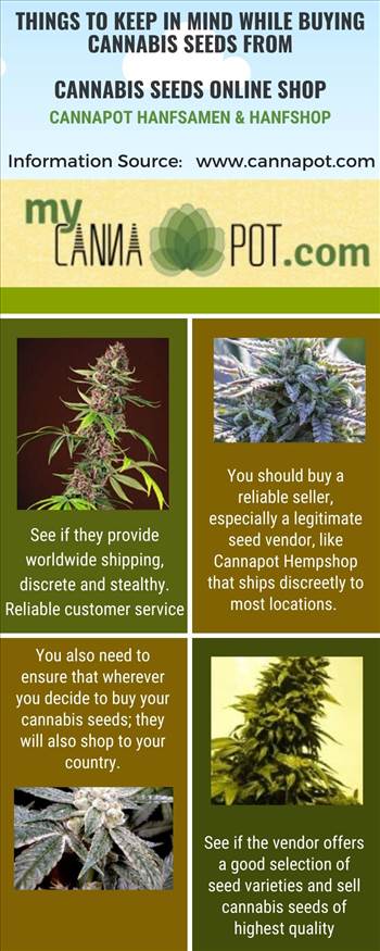 Things to Keep in Mind While Buying Cannabis Seeds from Cannabis Seeds Online Shop.jpg by Cannapot