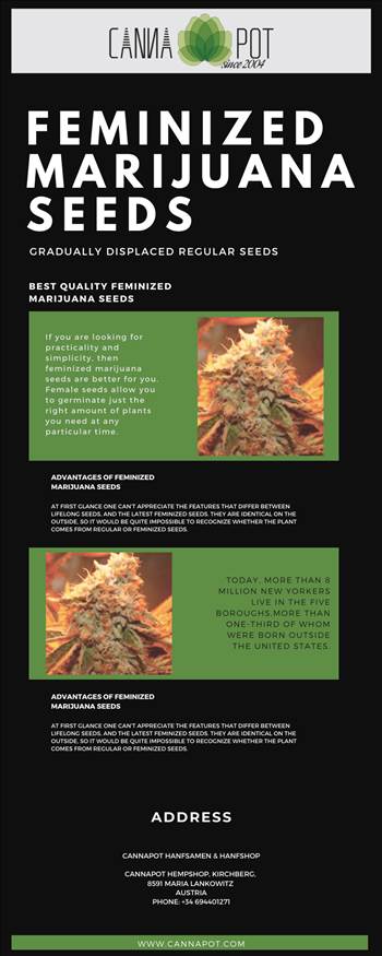 Feminized Marijuana Seeds.png by Cannapot