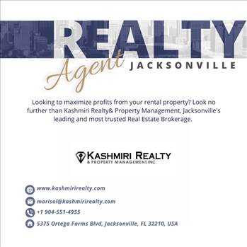 Real Estate Agent Jacksonville.jpg - Visit : https://kashmirirealty.com/agents/
