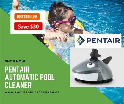 Pentair Automatic  Pool Cleaner.jpg by poolproductsca